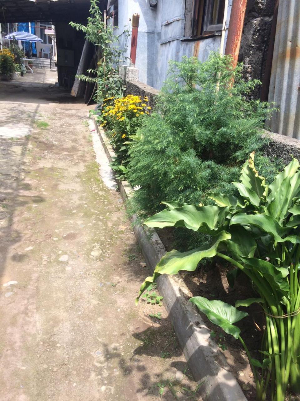 Batumi Guesthouse 28A Eksteriør bilde