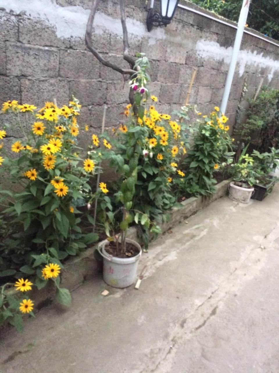 Batumi Guesthouse 28A Eksteriør bilde